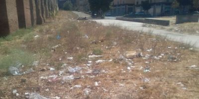 Parco Sangalli dopo la pulizia - Foto di Danilo Della Canfora